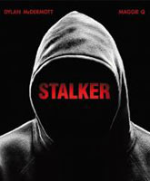 Смотреть Онлайн Сталкер / Stalker [2014]